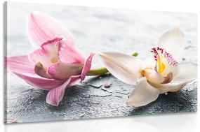 Εικόνα δύο πολύχρωμων λουλουδιών ορχιδέας - 60x40