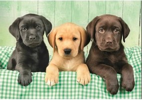 Παζλ Clementoni 1000 Τεμάχια