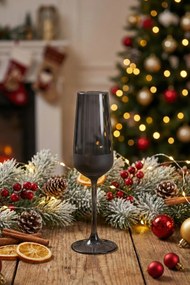 Champagne Glass Set (2 Pieces) TYRAKLE576 Fume