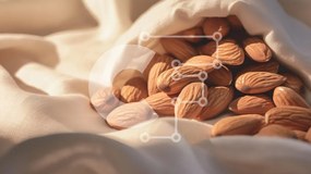 Σετ των 2 Intra Συλλεκτικό Ξύλινο Παζλ Plywood 4mm - Αμύγδαλα σε ύφασμα Σε Ξύλινο Κουτί - Διαστάσεις: 10x10 cm – 25 κομμάτια