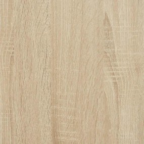 ΡΑΦΙ ΠΑΠΟΥΤΣΙΩΝ  SONOMA OAK 80X25X100 CM ΚΑΤΑΣΚΕΥΑΣΜΕΝΟ ΞΥΛΟ 859898