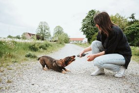 Παιχνίδια για Σκύλους Hunter NEBRASKA Μπλε πολυεστέρας Πρόβατο