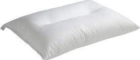 Μαξιλάρι Ύπνου Ανατομικό Σκληρό (50x70) Vesta Linear Polyester