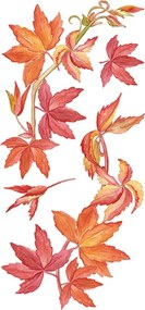 Virginia Creeper αυτοκόλλητα τοίχου βινυλίου (59154)