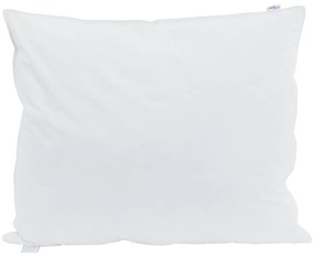 vidaXL Μαξιλάρια 2 pcs Λευκό 60 x 70 εκ. 130gsm 100% βαμβάκι