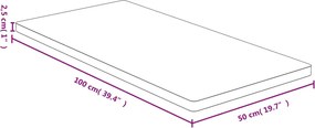 vidaXL Επιφάνεια Τραπεζιού 50x100x2,5 από Μπαμπού