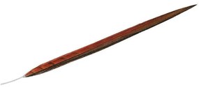 Φτερό Διακοσμητικό FTE116K6 55cm Orange-Brown Espiel Paper
