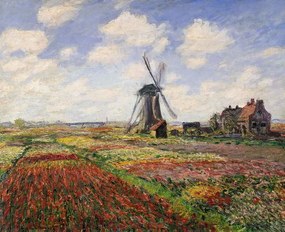 Claude Monet - Εκτύπωση έργου τέχνης Tulip Fields with the Rijnsburg Windmill, 1886, (40 x 35 cm)