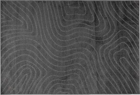 vidaXL Χαλιά χώρου PALMERAS Ανθρακί 170 x 120 εκ. Πολυεστέρας