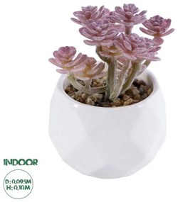 Διακοσμητικό Φυτό Παχύφυτο Σέδο Artificial Garden 20988 Globostar 20988