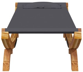 vidaXL Ξαπλώστρα Εξ. Χώρου Ανθρ. 100x188,5x44 εκ. Μασίφ Λυγισμένο Ξύλο