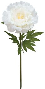 Τεχνητό Λουλούδι Παιώνια 00-23831-25-2 Φ28x100cm Ecru Marhome Ύφασμα,Πλαστικό