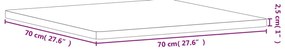 vidaXL Επιφάνεια Τραπεζιού Τετράγωνη 70x70x2,5 εκ. Μασίφ Ξύλο Οξιάς