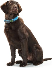 Κολλάρο Σκύλου Hunter Convenience 47-55 cm L Τυρκουάζ
