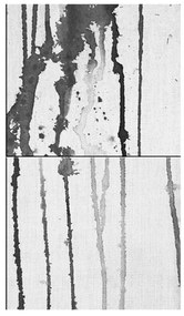 Φωτοταπετσαρία - Grey Torrents 50x1000