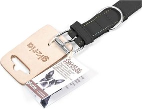 Κολλάρο Σκύλου Gloria Oasis Μαύρο (50 x 2,1 cm)