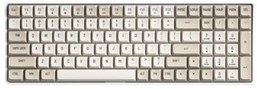Wireless Mechanical Keyboard Aigo A100 (black)