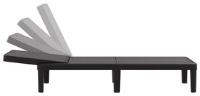 vidaXL Ξαπλώστρα Ρυθμιζόμενη σε 4 Ύψη 155,5x57x28 εκ. Πολυπροπυλένιο