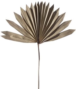 Τεχνητό Φύλλο Φοίνικας Serenoa 3081-7 30x30x50cm Natural Supergreens Ύφασμα,Πλαστικό
