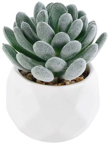 Τεχνητό Φυτό Σε Κασπώ Sedeveria 21001 Φ7x9,5cm Green-White GloboStar Clay,Polyethylene