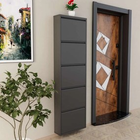 Παπουτσοθήκη Ανθρακί ABREPRI 50x15x169