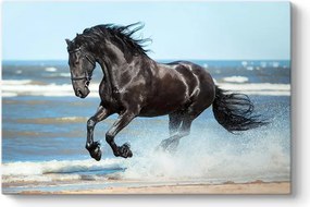 Πίνακας σε καμβά "Black Horse" Megapap ψηφιακής εκτύπωσης 100x70x3εκ.