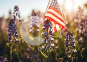 Intra Συλλεκτικό Ξύλινο Παζλ Plywood  4mm - Αμερικανική σημαία στο πεδίο των μωβ λουλουδιών Σε Ξύλινο Κουτί - Διαστάσεις Puzzle: 10x10 cm – 25 κομμάτια