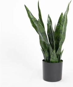 Τεχνητό Φυτό Σανσεβιέρια Robusta 55 εκ. 9880-6 Supergreens-9880-6-Πράσινο 9880-6