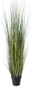 GloboStar® Artificial Garden PAMPAS GRASS 20072 Τεχνητό Διακοσμητικό Φυτό Γρασίδι της Πάμπας Υ170cm