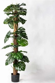 Τεχνητό Δέντρο Μονστέρα 2080-6 150cm Green Supergreens Πολυαιθυλένιο