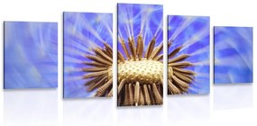 Εικόνα 5 μερών πικραλίδες σε μωβ - 200x100