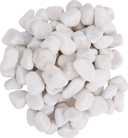 vidaXL Βότσαλα Γυαλισμένα Λευκά 10 κ. 2-5 εκ.