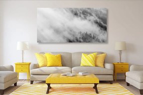 Εικόνα ασπρόμαυρο ομιχλώδες δάσος - 120x60