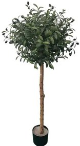 New plan OLIVE TREE  NP5807_150_22_UV ΥΨΟΣ 150cm Τεμαχιο