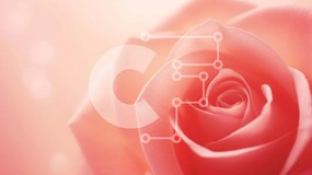 Intra Συλλεκτικό Ξύλινο Παζλ Plywood 4mm - Ροζ τριαντάφυλλο με φόντο Bokeh Σε Ξύλινο Κουτί - Διαστάσεις: 10x10 cm – 25 κομμάτια