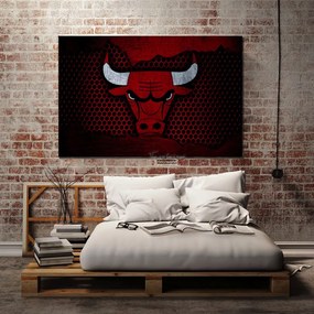 Πίνακας σε καμβά NBA Chicago Bulls KNV890 30cm x 40cm