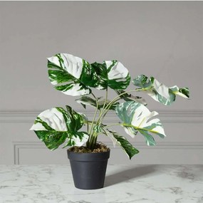 Τεχνητό Φυτό Μονστέρα Albo Variegata 3870-6 45cm Green Supergreens Polyethylene
