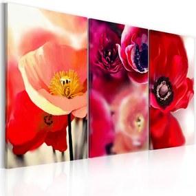 Πίνακας - Poppies - three perspectives - 90x60