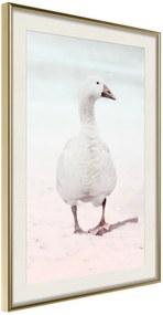 Αφίσα - Walking Goose - 20x30 - Χρυσό - Με πασπαρτού