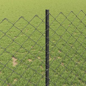vidaXL Συρματόπλεγμα Περίφραξης με Πάσσαλο 10 x 1 m