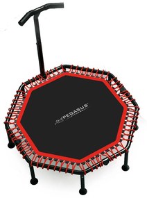 Pegasus® Pegasus® Οκτάγωνο τραμπολίνο με Λαβή 48" (122cm) Β 4503-A