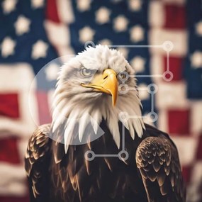 Intra Συλλεκτικό Ξύλινο Παζλ Plywood 4mm - Φαλακρός αετός με αμερικανική σημαία Σε Ξύλινο Κουτί - Διαστάσεις: 10x10 cm – 25 κομμάτια