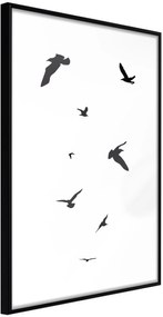 Αφίσα - Birds - 30x45 - Μαύρο - Χωρίς πασπαρτού