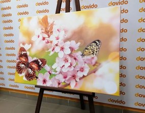 Εικόνα ανοιξιάτικα λουλούδια με εξωτικές πεταλούδες - 90x60