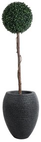 GloboStar® Artificial Garden NASHVILLE 20716 Επιδαπέδιο Πολυεστερικό Τσιμεντένιο Κασπώ Γλάστρα - Flower Pot Μαύρο Φ40 x Υ50cm