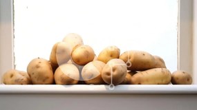 Σετ των 2 Intra Συλλεκτικό Ξύλινο Παζλ Plywood 4mm - Πατάτες στοιβαγμένες σε ένα περβάζι παραθύρου Σε Ξύλινο Κουτί - Διαστάσεις: 10x10 cm – 25 κομμάτια