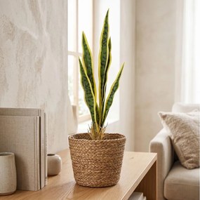 Τεχνητό Φυτό Εσωτερικού & Εξωτερικού Χώρου 60cm 97660