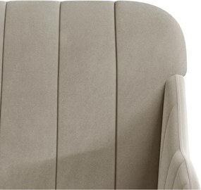 vidaXL Πολυθρόνα Ανοιχτό Γκρι 63 x 76 x 80 εκ. Βελούδινη
