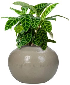 Βάζο ArteLibre Ιβουάρ Αλουμίνιο 14.5x14.5x11cm