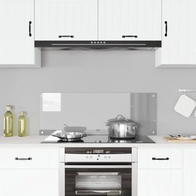 vidaXL Φωτιστικό Πίσω Κουζίνας Ανοιχτό Γκρι 110x40x0,6 εκ. Γυαλί Ανθεκτικό